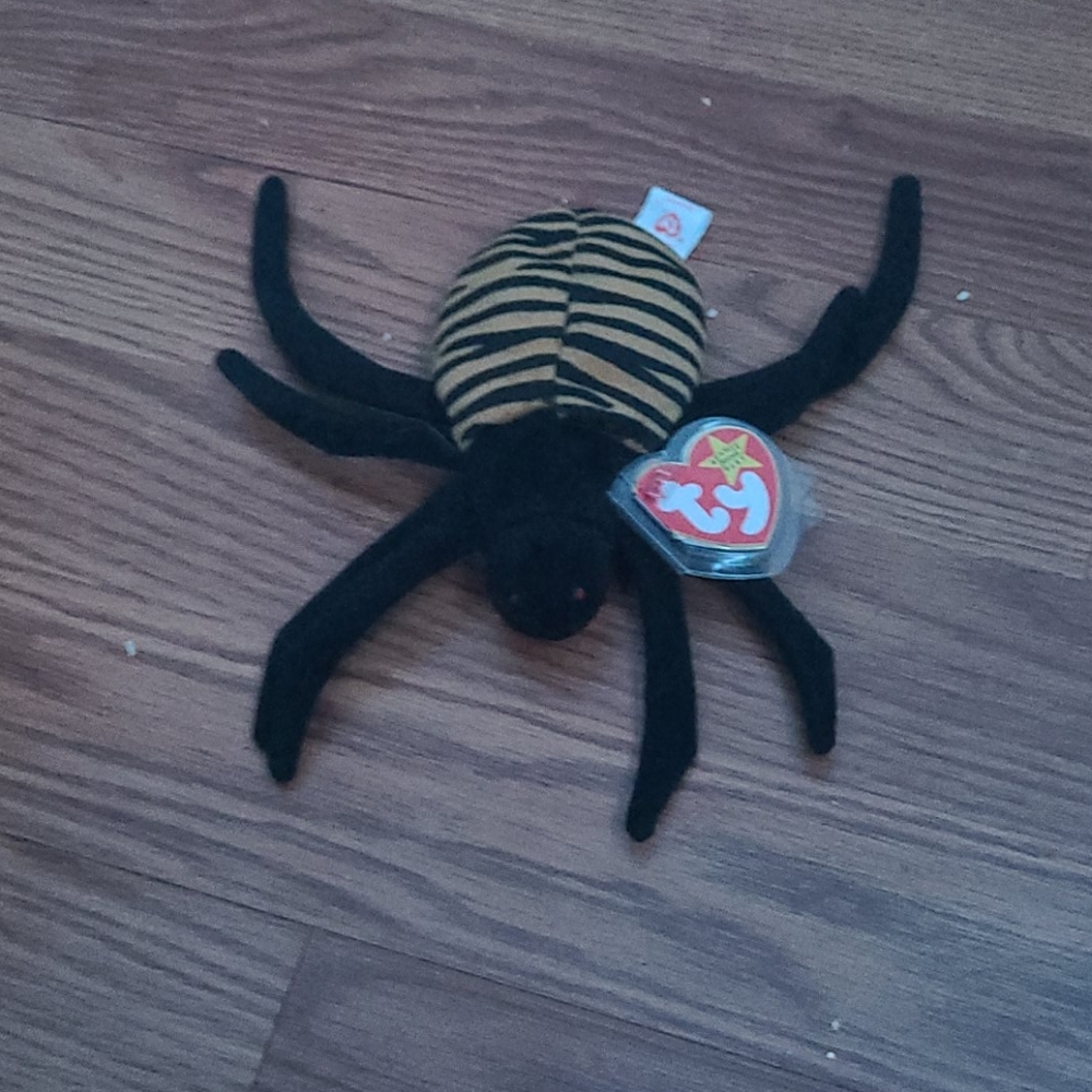 Spider